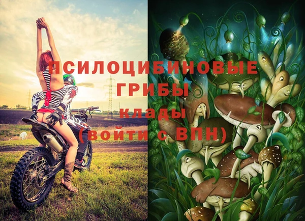 мяу мяу мука Белоозёрский