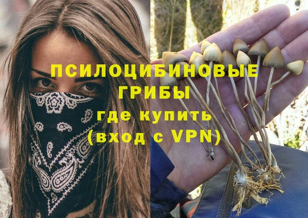 мяу мяу мука Белоозёрский