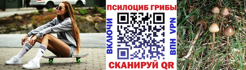 как найти наркотики  kraken ССЫЛКА  Псилоцибиновые грибы Cubensis  Константиновск 